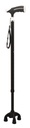 Walking Stick (4 legs) 2
