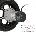 IMG-20250122-WA0041.jpg.webp