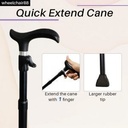 Easy Cane