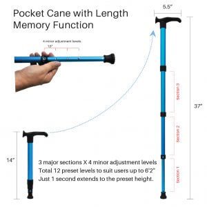 [617] Pocket Cane